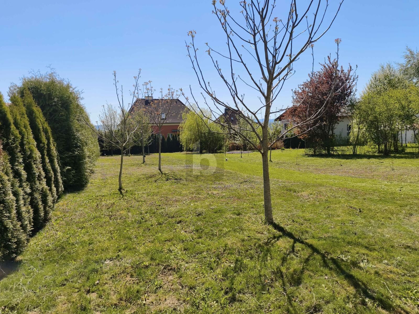 RARITÄT FÜR BAUTRÄGER 2.491 M² GESAMTFLÄCHE, VOLL AUFGESCHLOSSEN KEIN BAUZWANG / / 3361 Aschbach Markt / Bild 3