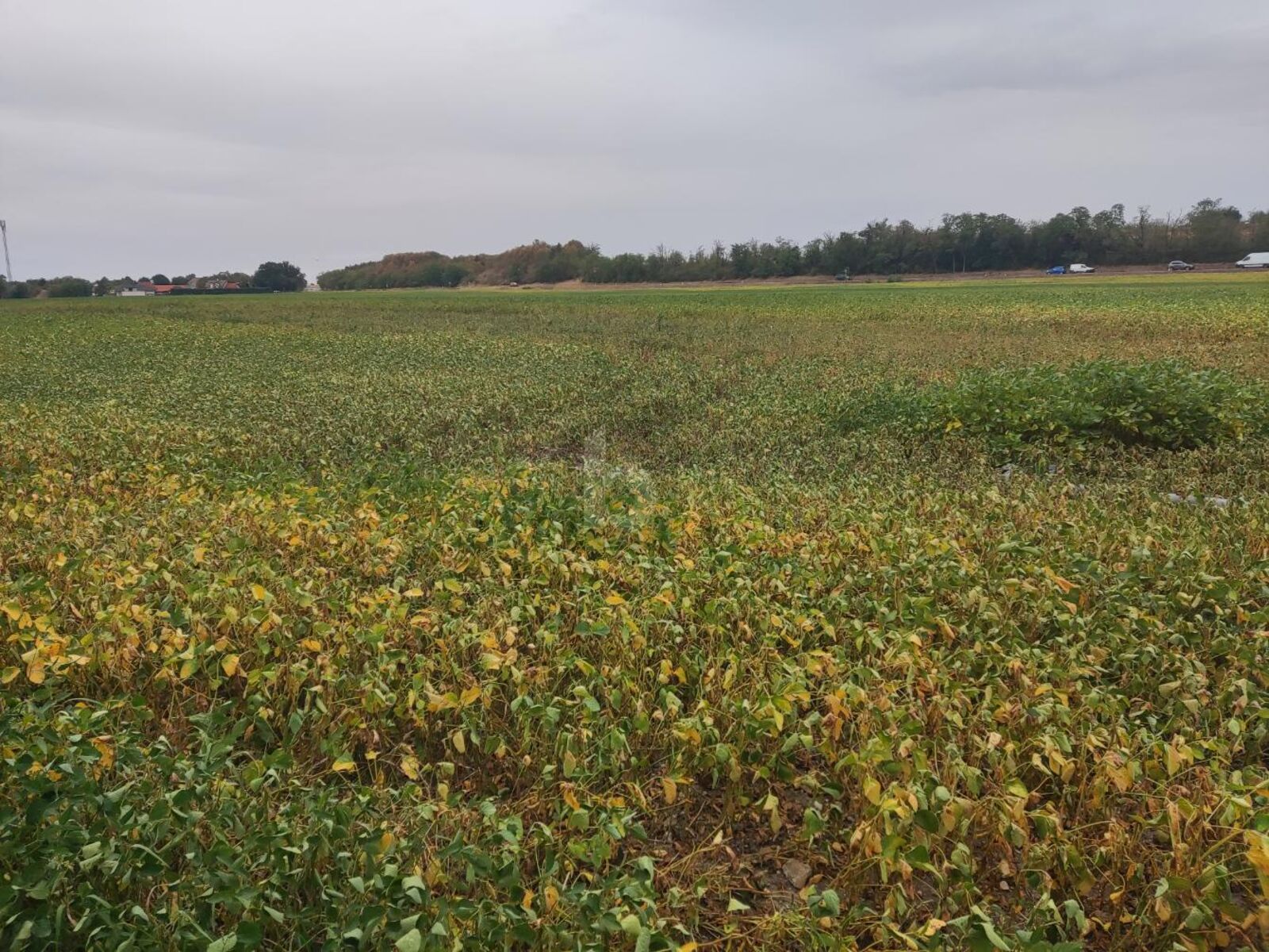 TOP-AGRARINVESTMENT: ERSTE-KLASSE ACKERFL�CHE IN TIEFER LAGE IM MARCHFELD