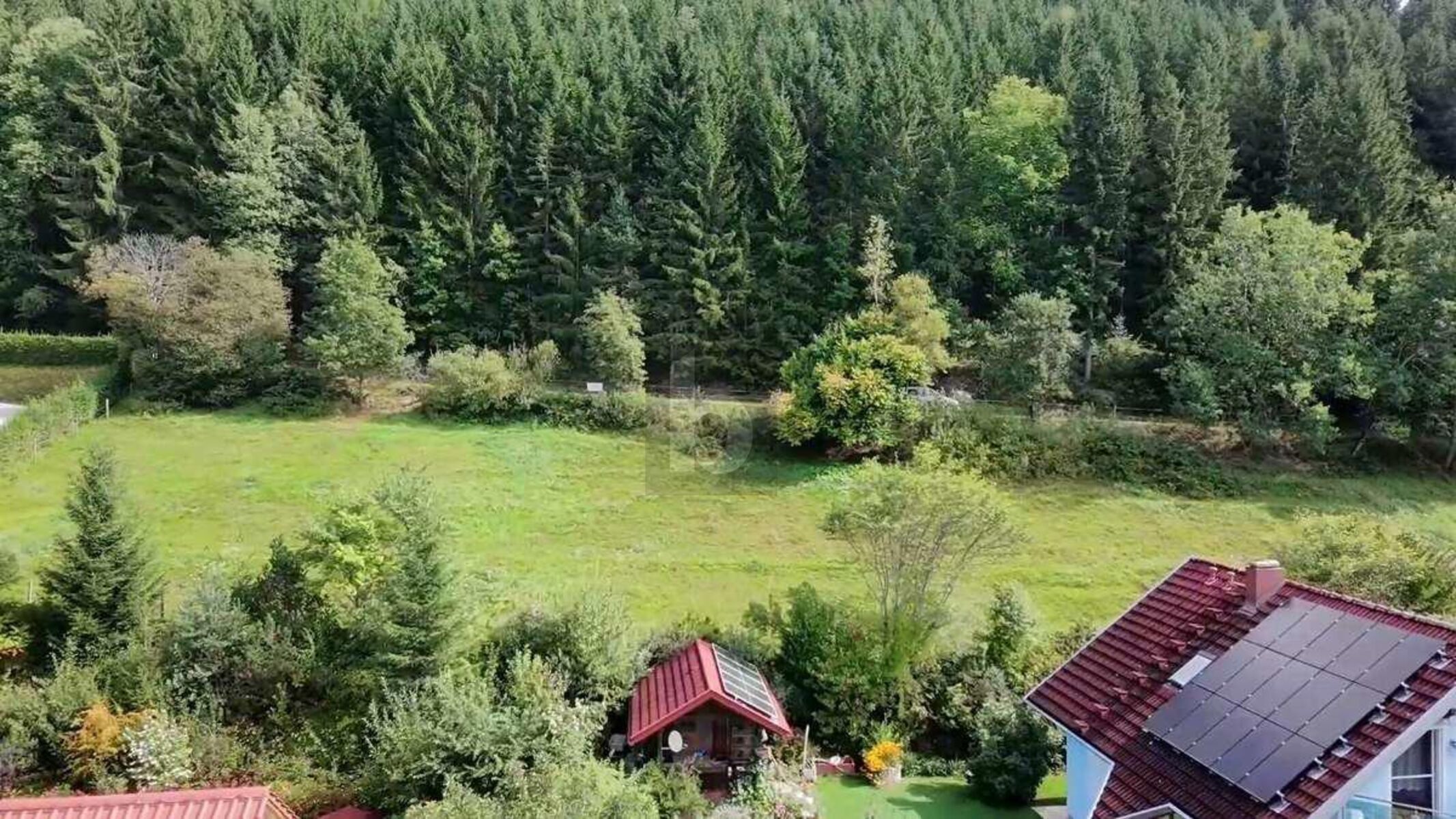 SONNIGE HANGLAGE AM WALDRAND / / 9344 Weitensfeld / Bild 2