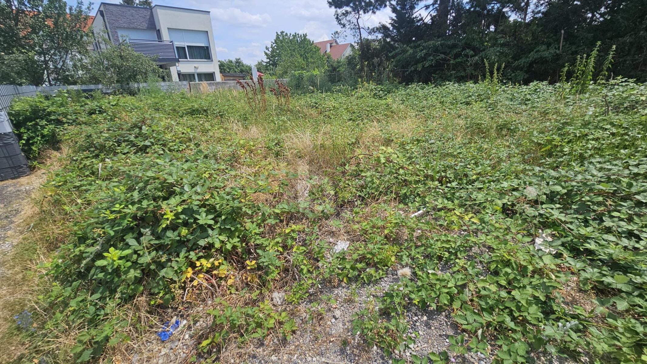 IHR PLATZ ZUM ANKOMMEN - TRAUMHAFTES GRUNDSTÜCK IN BEGEHRTER LAGE / / 2102 Bisamberg / Bild 1