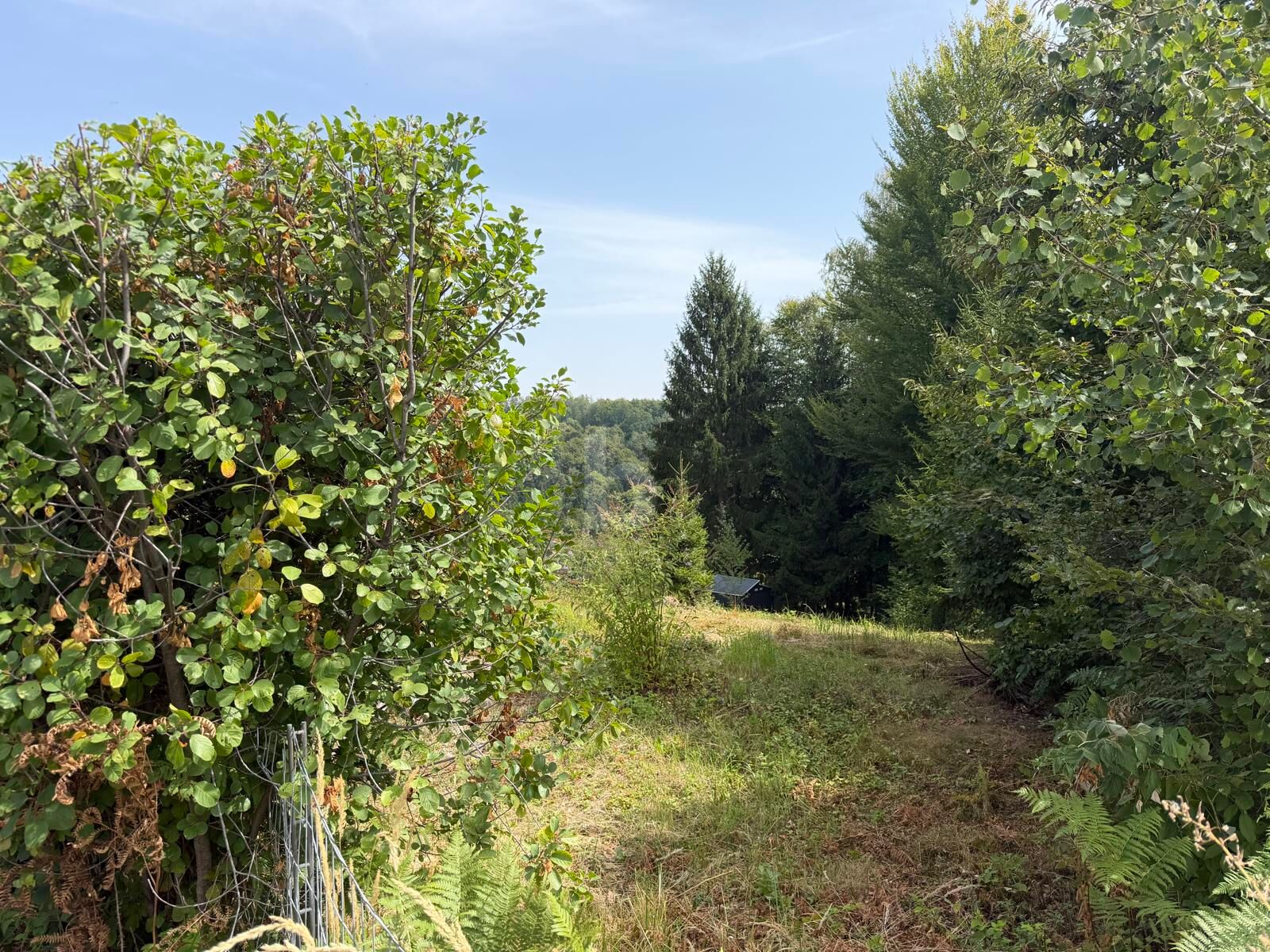 SONNIGE LAGE IN RUHIGER GEGEND / / 8076 Vasoldsberg / Bild 2