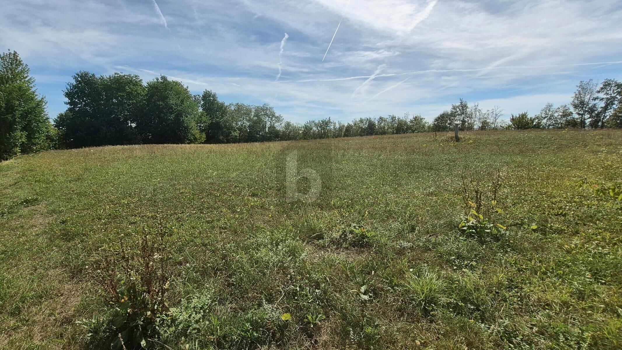 PERFEKT FÜR GARTEN & WOHNWAGEN: 655 M² FREIZEIT-OASE IN NATURLAGE / / 3372 Blindenmarkt / Bild 2