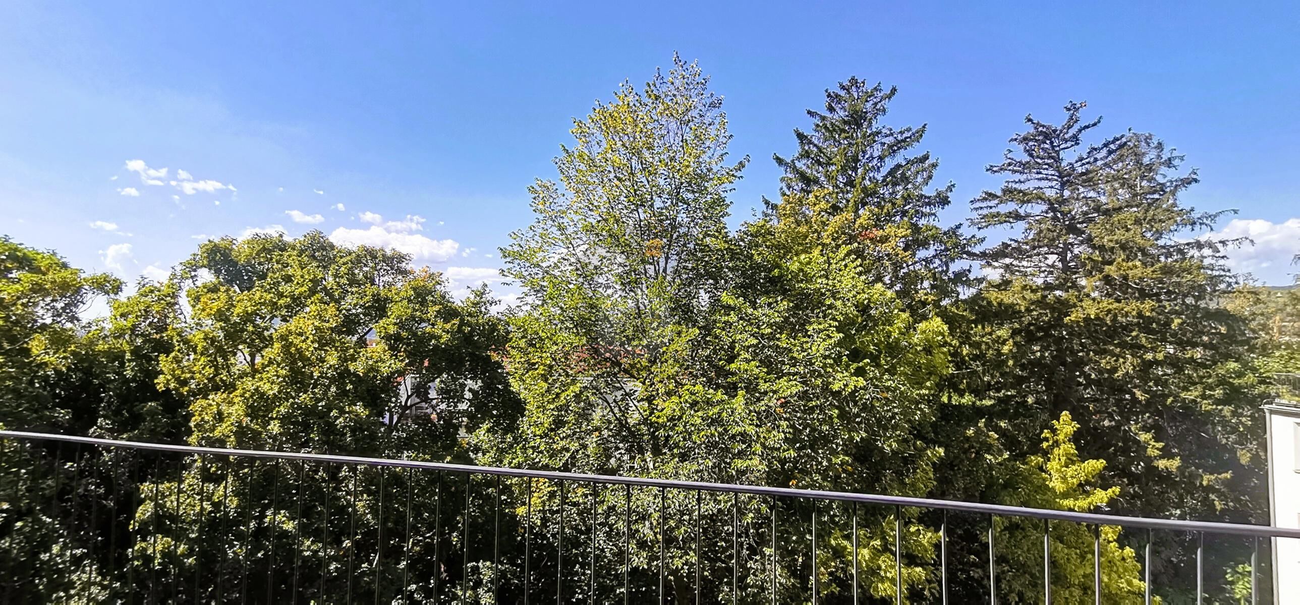 FRISCH SANIERTE WOHLFÜHLOASE IN ZENTRUMSNAHER RUHELAGE / / 2500 Baden / Bild 4