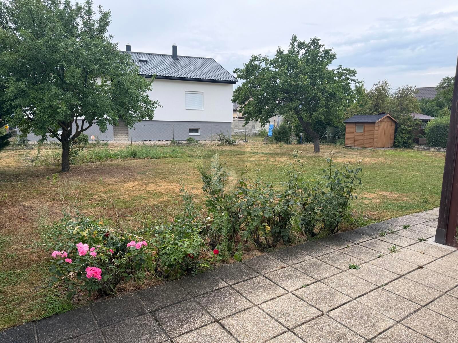 GROßZÜGIGES WOHNEN MIT IHRER FAMILIE / / 7083 Purbach am Neusiedler See / Bild 2