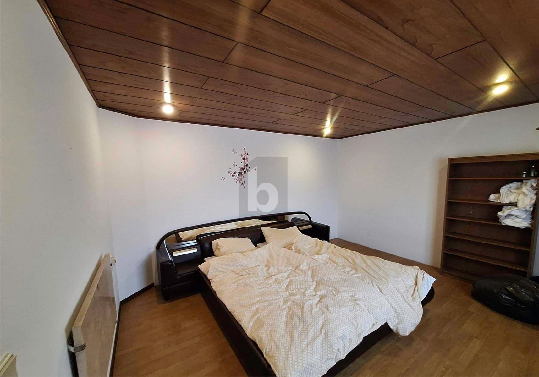 ZUHAUSE MIT MÖGLICHKEITEN: GROßZÜGIGES MEHRFAMILIENHAUS / / 3550 Langenlois / Bild 3