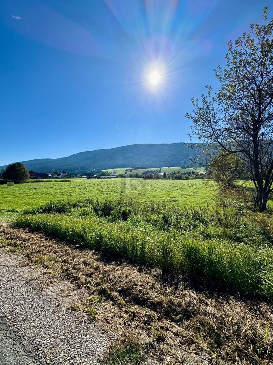 IHR PLATZ IM LUNGAU ? GRUNDST�CK MIT VIELSEITIGEM POTENZIAL IN UNTERNBERG /  / 5585&nbsp;Unternberg / Bild 1